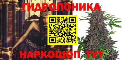 гашиш Можга
