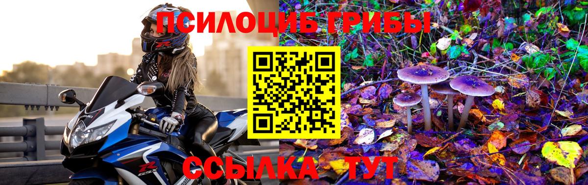 Псилоцибиновые грибы прущие грибы Унеча
