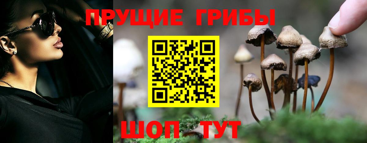 Галлюциногенные грибы прущие грибы  даркнет сайт  Унеча  Вход с VPN 